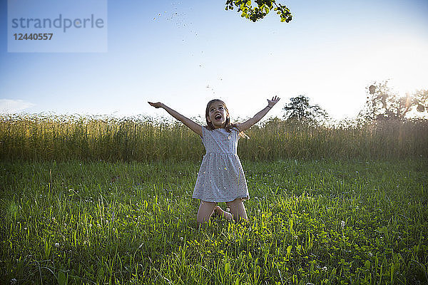 Young girl kneeling on meadow at summer evening