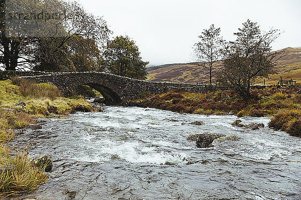 United Kingdom  England  Cumbria  Lake District  stone bridge over the river Duddon