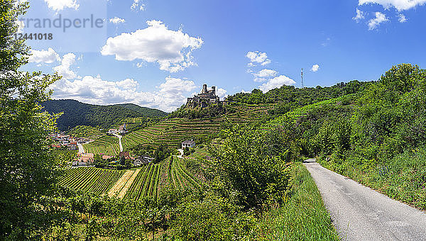 Austria  Lower Austria  Wachau  Kremstal  Senftenberg  Castle ruin Senftenberg