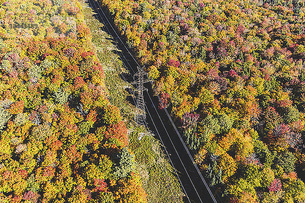 Canada  Ontario  electricity pylons and wires through the trees in Algonquin park  aerial view