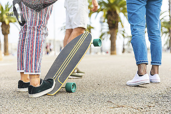 Close-up of friends with a skateboard on a promenade with palms