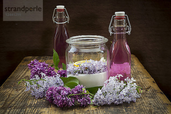 Glass bottles of homemade lilac sirup and ingredients in glass