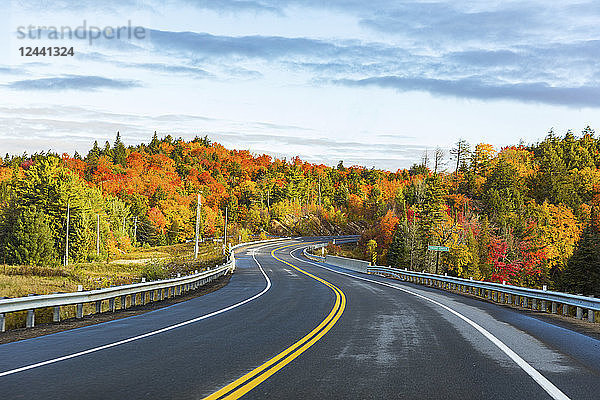 Canada  Ontario  main road through colorful trees in the Algonquin park area
