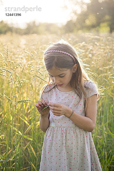 Young girl standing in field at summer evening
