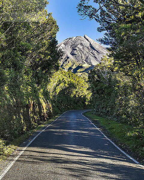 New Zealand  North Island  Egmont National Park  view to Mount Taranaki