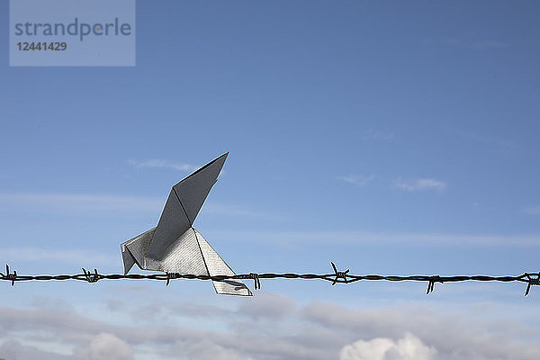 Origami bird sitting on barbed wire  copy space