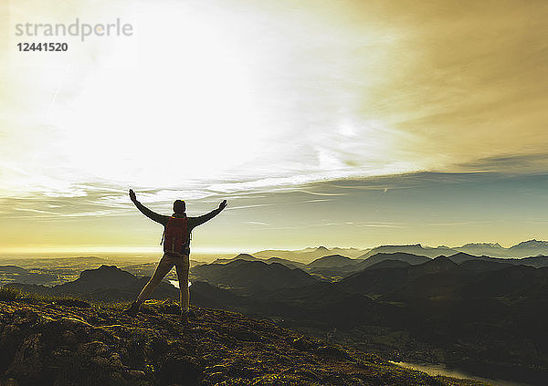 Austria  Salzkammergut  Hiker reaching summit  raising arms  cheering
