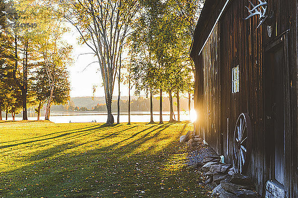 Canada  Ontario  wooden barn inside Algonquin park at sunset