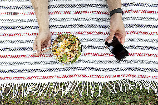 Man eating noodle salad on blanket in a park while using cell phone  partial view