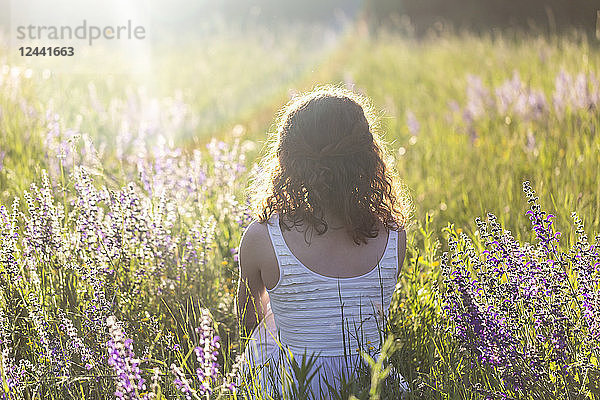 Young woman sitting on flower meadow  rear view