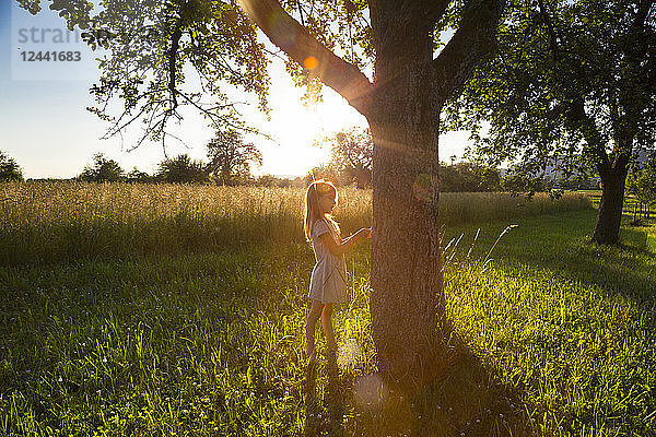 Young girl standing at tree against evening sun in summer
