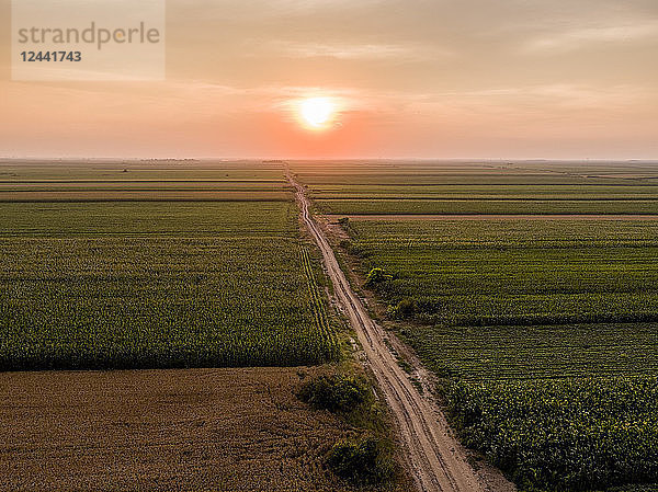 Serbia  Vojvodina. Aerial view of corn  wheat and soybean fields in the late summer afternoon