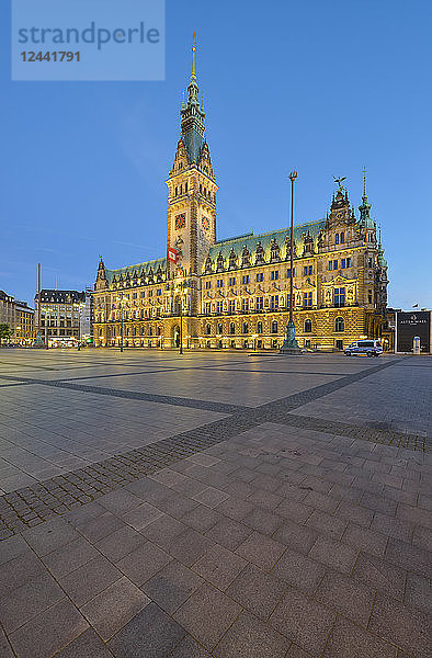 Germany  Hamburg  view to town hall in the evening