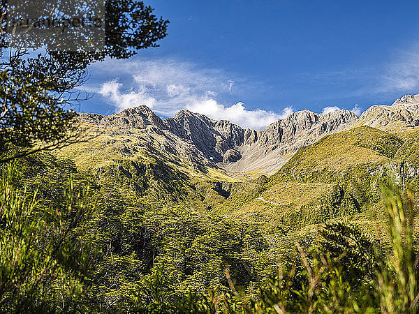 New Zealand  South Island  Canterbury Region  Arthur's Pass National Park  Arthur's Pass