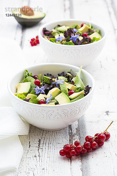 Mixed salad with avocado  red currants and borage blossoms