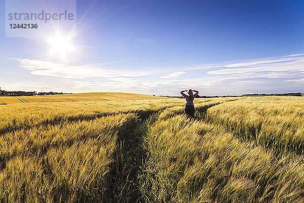 Back view of woman standing in grain field at sunset