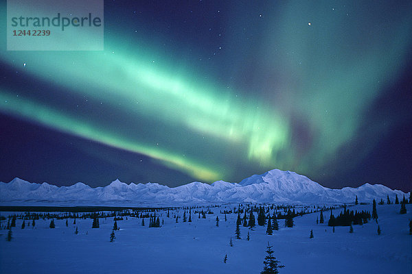 Blick auf die Aurora Borealis über Denali Interior Alaska Winter Composite