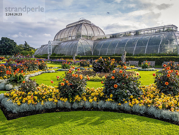Palmenhaus in Kew Gardens; London  England