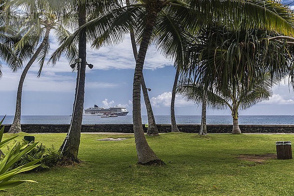 Blick auf ankernde Schiffe in der Kailua-Bucht durch einen Hain von Kokospalmen (Cocos nucifera)  die auf dem gepflegten Gelände des Hulihee Palace in Kailua-Kona  Big Island  Hawaii  USA  im Sommer wachsen. Bei dem großen Kreuzfahrtschiff handelt es sich um die MS Pride of America der Norwegian Cruise Line  die für einen Tag nach Kailua kommt; Kailua-Kona  Insel Hawaii  Hawaii  Vereinigte Staaten von Amerika