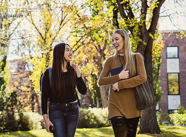Zwei junge Studentinnen laufen und unterhalten sich auf einem Universitätscampus  Edmonton  Alberta  Kanada