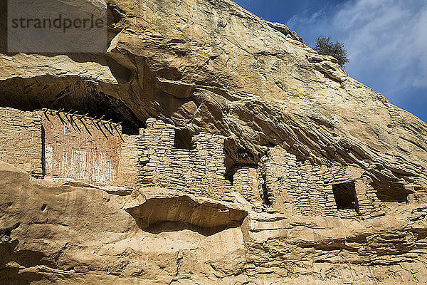 Zielruinen  Ancestral Pueblo  bis zu 1.000 Jahre alt  Bears Ears National Monument  Utah  Vereinigte Staaten von Amerika