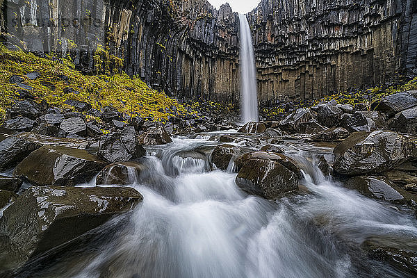 Svartifoss-Wasserfall  Island