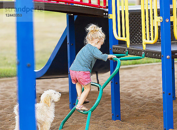 Ein junges Mädchen spielt an einem warmen Herbsttag auf einem Spielplatz mit ihrem Hund an der Seite  Spruce Grove  Alberta  Kanada