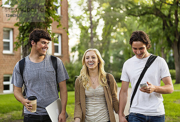 Drei Freunde  die auf dem Universitätscampus spazieren gehen und sich unterhalten  Edmonton  Alberta  Kanada