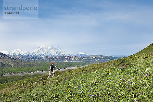 Senior Man Wandern auf der Tundra in Thorofare Pass mit Mt. Mckinley im Hintergrund  Interior Alaska  Sommer