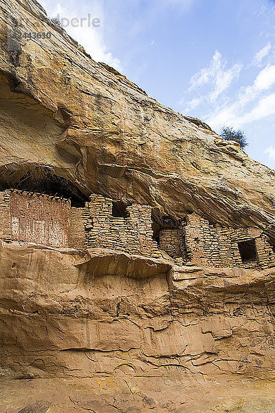 Zielruinen  Ancestral Pueblo  bis zu 1.000 Jahre alt  Bears Ears National Monument  Utah  Vereinigte Staaten von Amerika