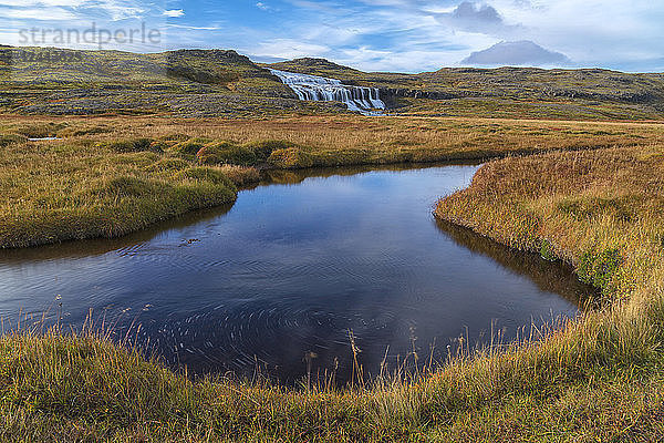 Husarfoss-Wasserfall in einer abgelegenen Landschaft  Djupavik  Westfjorde  Island