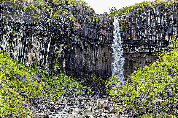 Der Svartifoss-Wasserfall und die Basaltsäulen sind ein schöner Aussichtspunkt und ein beliebtes Wanderziel in Südisland  Island