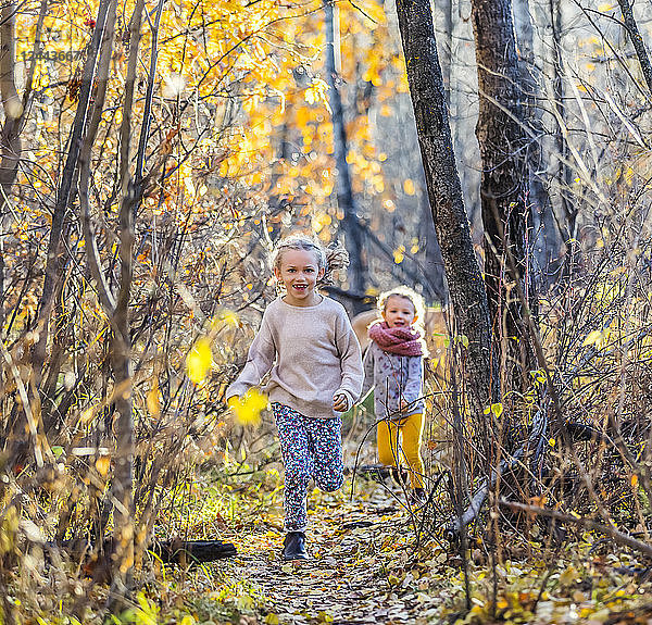 Zwei junge Mädchen  die Schwestern sind  laufen an einem warmen Herbstabend durch den Wald in einem Stadtpark; Edmonton  Alberta  Kanada