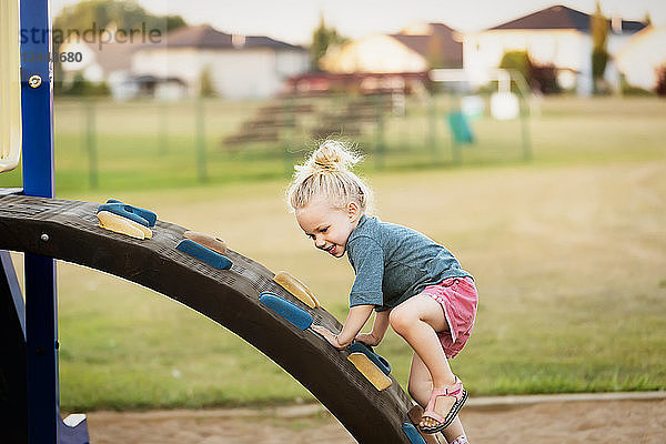 Ein junges Mädchen mit blonden Haaren spielt auf einem Spielplatz und klettert an einem warmen Herbsttag eine Felsenleiter hinauf  Spruce Grove  Alberta  Kanada