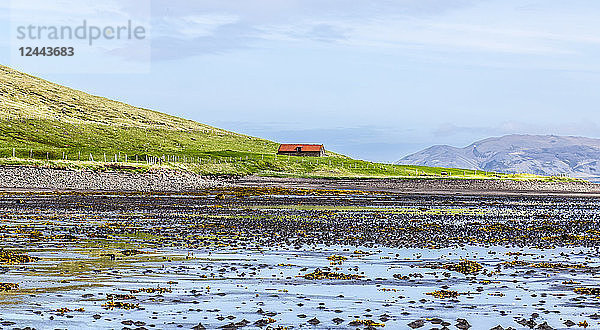 Ein einzelnes Bauernhaus am Rande des Berges Kirkjufell und des Atlantiks auf der Halbinsel Snaefellsnes  Westisland  Grundarfjorour  Island