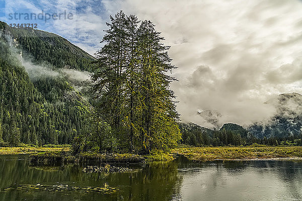 Stimmungsvolle Landschaft mit niedrigen Wolken über dem Great Bear Rainforest  Hartley Bay  British Columbia  Kanada