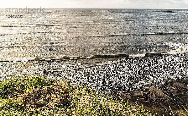 Ein Vogelnest sitzt auf einer Klippe mit Blick auf die isländische Küste; Grundarfjorour  Island