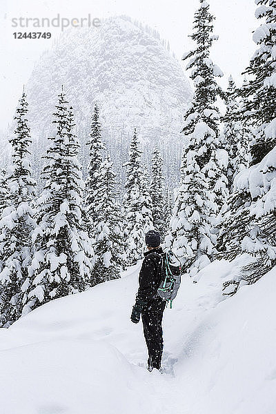 Schneeschuhläuferin auf verschneitem Weg mit Blick auf schneebedeckte immergrüne Bäume und einen schneebedeckten Berg  Banff National Park; Lake Louise  Alberta  Kanada