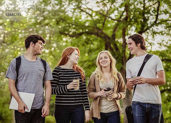 Vier Freunde  die auf dem Universitätscampus spazieren gehen und miteinander reden  Edmonton  Alberta  Kanada