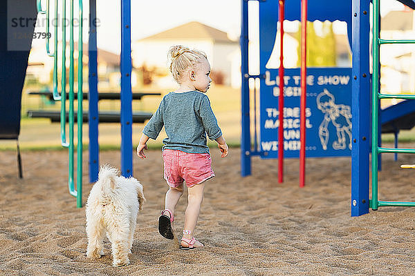 Ein junges Mädchen und ihr Hund spielen auf einem Spielplatz an einem warmen Herbsttag  Spruce Grove  Alberta  Kanada