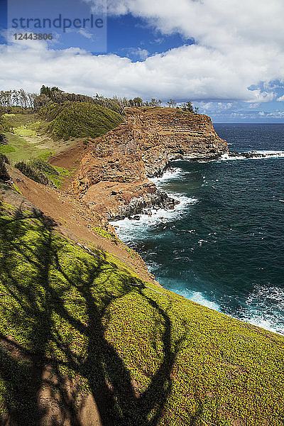 Küstenlinie bei Kapaau  North Kohala Coast  Hawi  Insel Hawaii  Hawaii  Vereinigte Staaten von Amerika