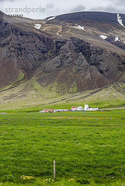 Ein großer Bauernhof  umgeben von weiten Feldern vor vulkanischen Hängen  Island