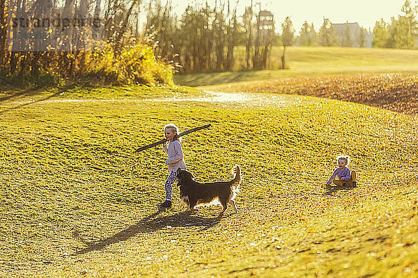 Zwei junge Mädchen spielen mit einem Hund in einem Stadtpark bei Sonnenuntergang an einem warmen Herbstabend; Edmonton  Alberta  Kanada