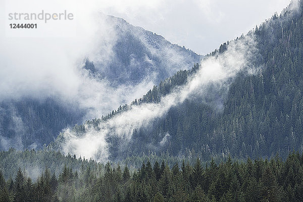 Aussicht auf den Great Bear Rainforest bei Nebel und niedriger Bewölkung  Hartley Bay  British Columbia  Kanada
