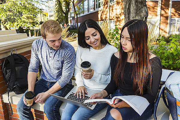Drei junge Universitätsstudenten sitzen auf einer Bank mit einem aufgeklappten Laptop  während sie sich ein Lehrbuch ansehen und gemeinsam an Schularbeiten arbeiten  Edmonton  Alberta  Kanada