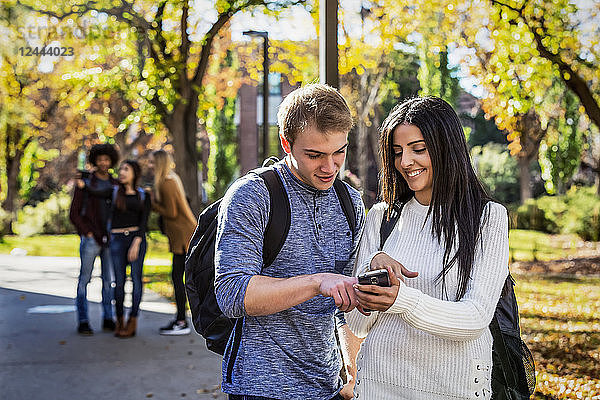 Ein männlicher und ein weiblicher Universitätsstudent stehen auf einem Weg und schauen auf ein Smartphone  im Hintergrund eine Gruppe von Kommilitonen  Edmonton  Alberta  Kanada