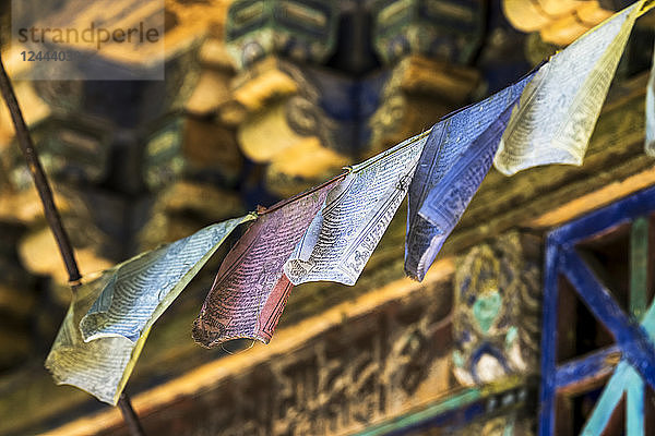 Buddhistische Gebetsfahnen entlang des Shakti Sikkim Village Walk  Sikkim  Indien