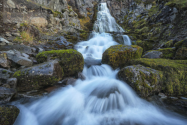 Wasserfall entlang der Straße  Westfjorde  Island