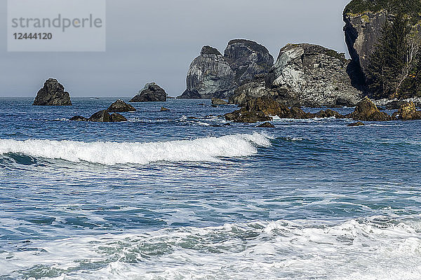 Wellen  die an der felsigen kalifornischen Küste an Land kommen  Crescent City  Kalifornien  Vereinigte Staaten von Amerika