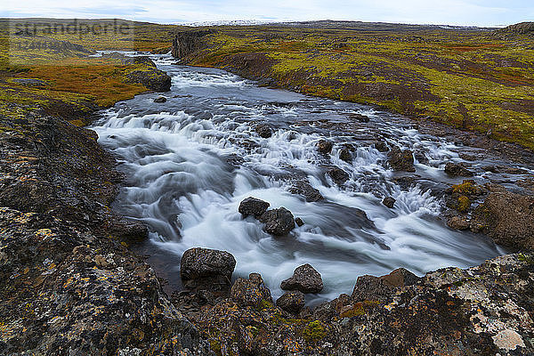 Herbstfarben in der Landschaft  durch die ein Fluss fließt  Djupavik  Westfjorde  Island
